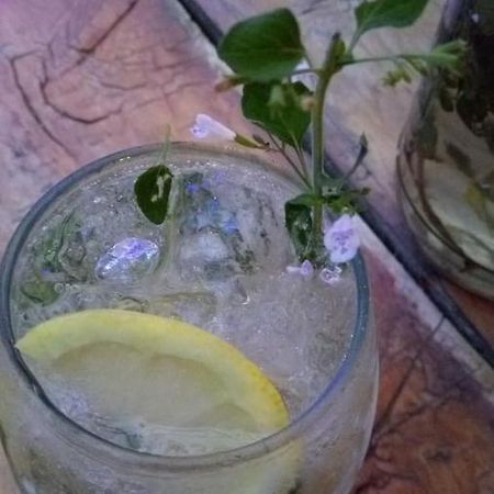 Croa La Rana Hotel Yacanto de Calamuchita Zewnętrze zdjęcie